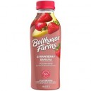 Bolthouse Farms Strawberry Banana 100% Fruit Juice Smoothie No Sugar Added - 15.2 oz