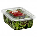 Salad Earthbound Farm Baby Lettuces Organic