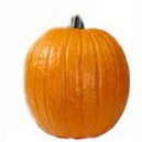 Pumpkins Medium - Large