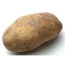 Potatoes Russet Organic