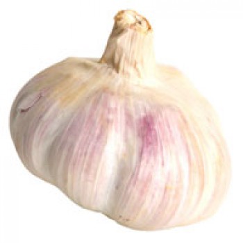 Garlic Bulk