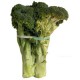 Broccoli - aprx 1-3 Stalks