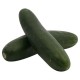 Cucumbers Organic